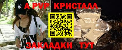твердый Бийск