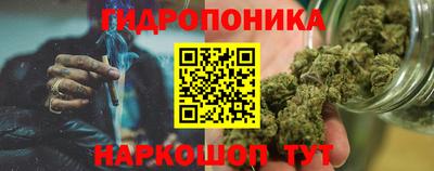 твердый Бийск