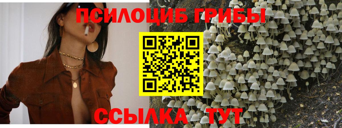 Псилоцибиновые грибы Magic Shrooms Кириши