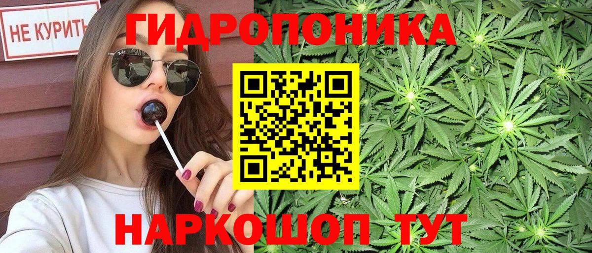 Бошки марихуана марихуана  Вход с VPN  Бошки Шишки Bruce Banner  Кириши 